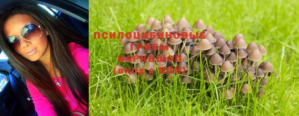 PSILOCYBIN Верхнеуральск